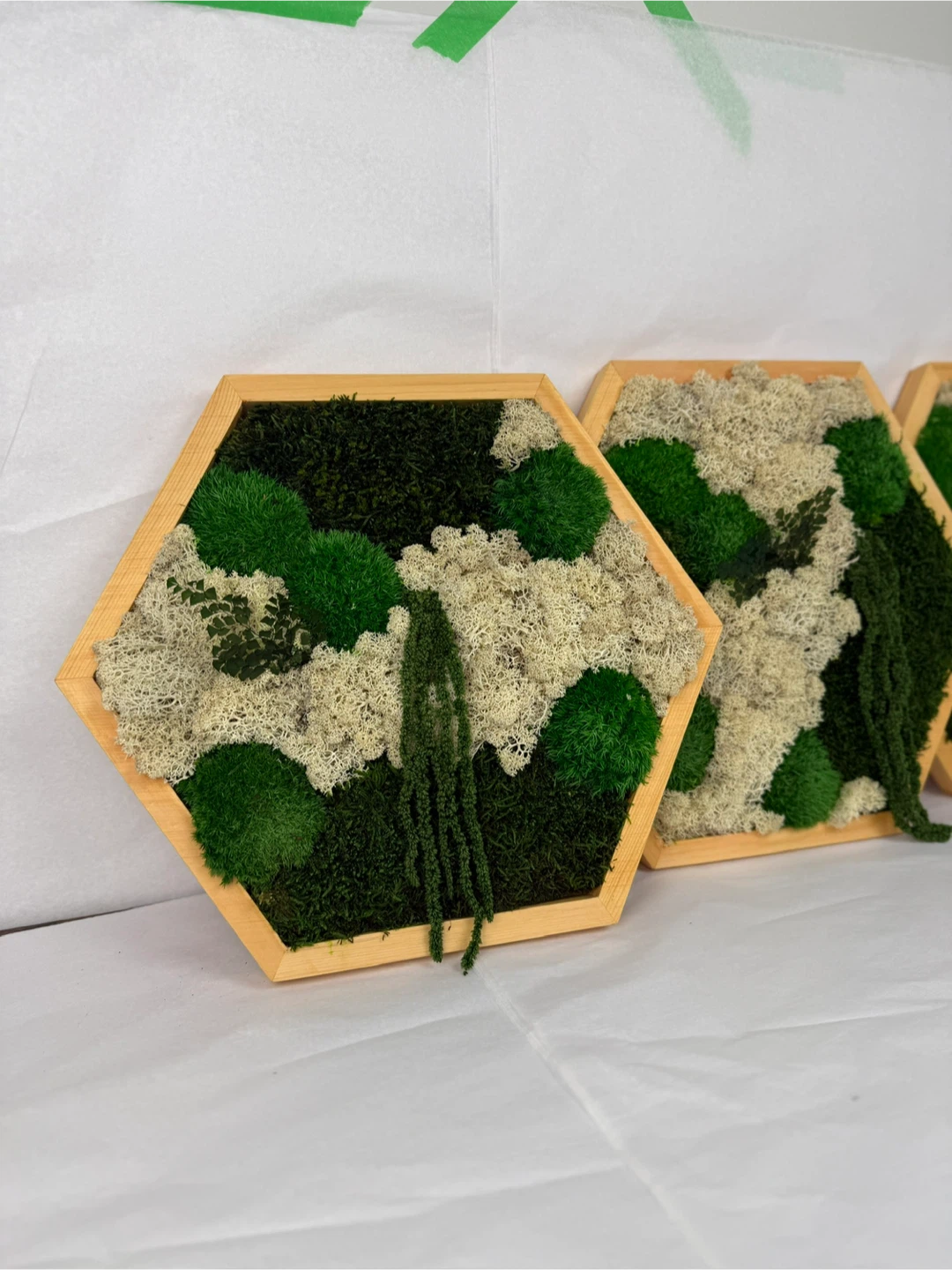 Moss Wall Art Hexagon Frames