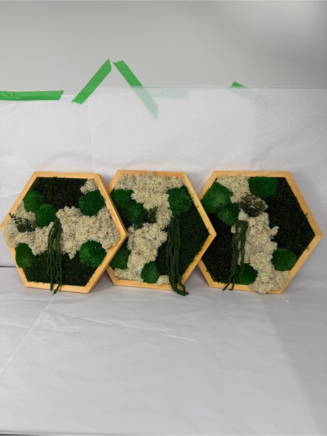 Moss Wall Art Hexagon Frames - photo 3
