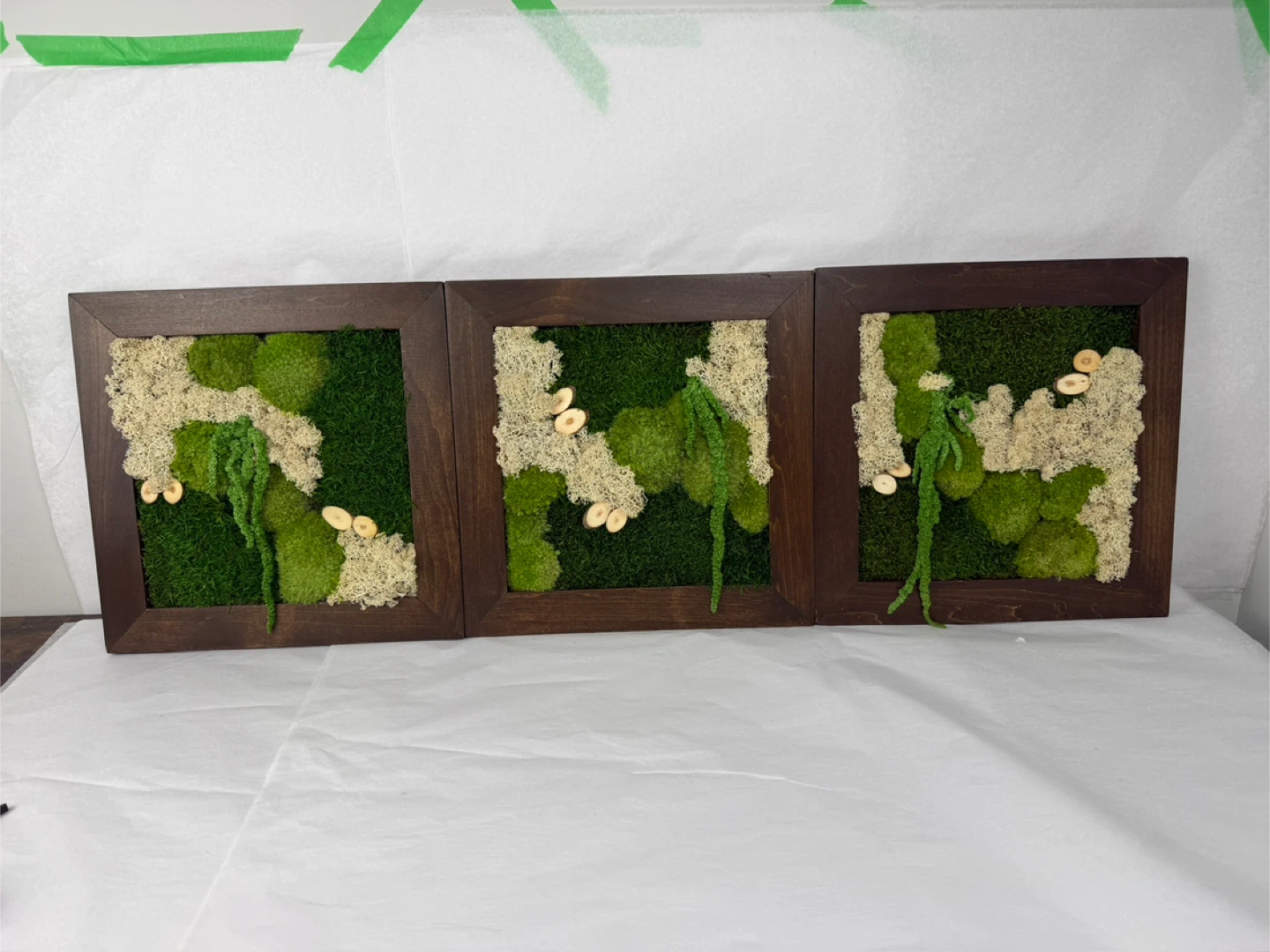 Set of 3 Framed Moss Art Pieces - photo 4