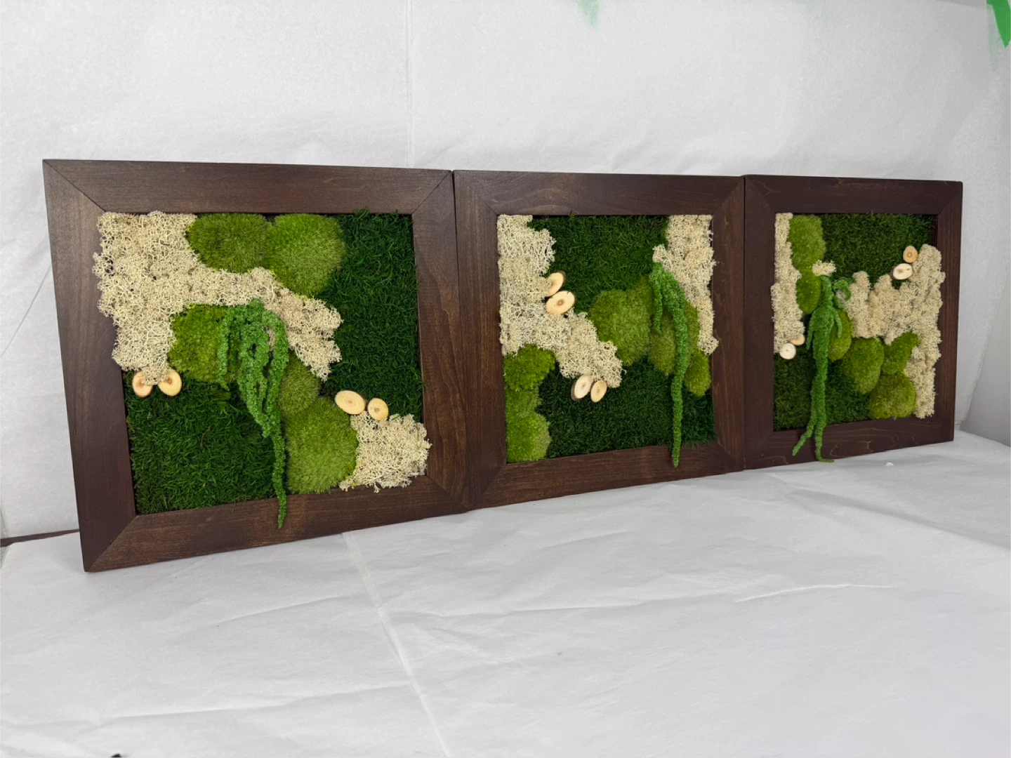 Set of 3 Framed Moss Art Pieces - photo 2