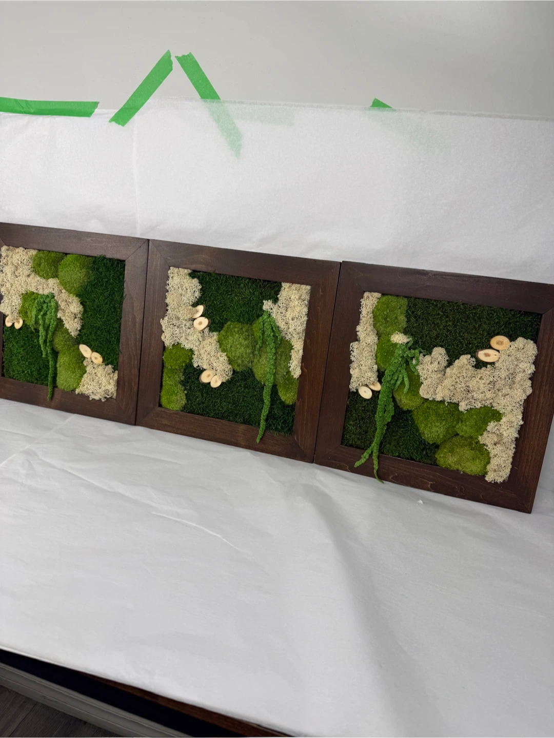 Set of 3 Framed Moss Art Pieces - photo 3