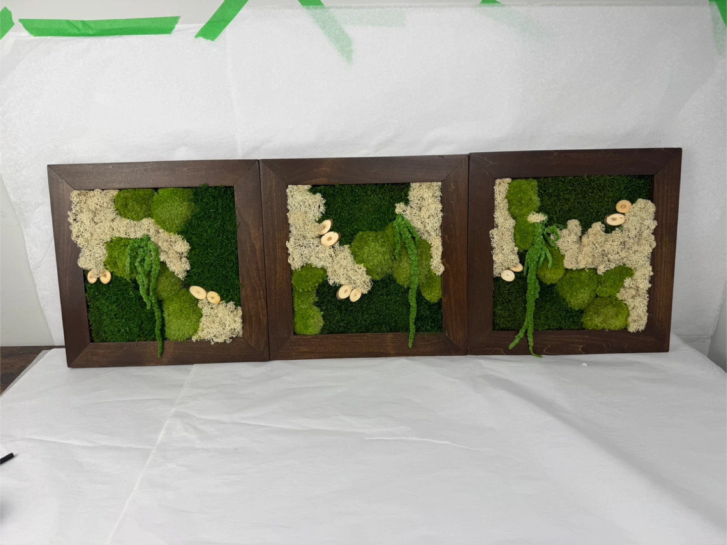 Set of 3 Framed Moss Art Pieces