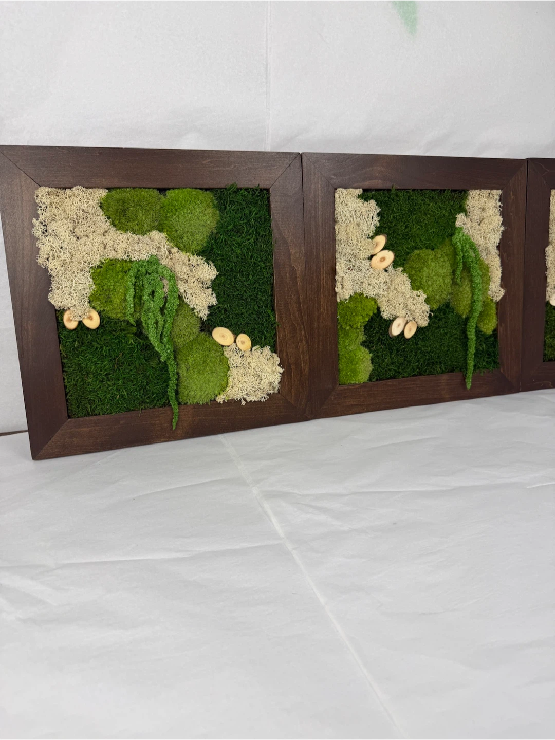 Set of 3 Framed Moss Art Pieces - photo 5