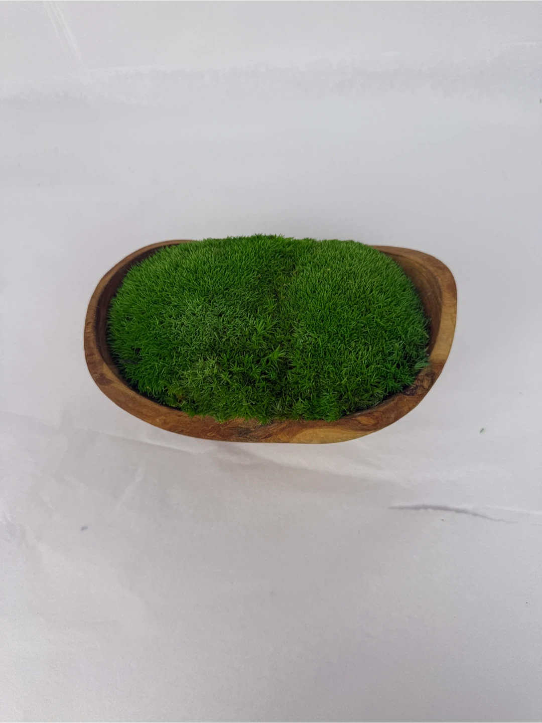 Moss in Wooden Centrepiece - photo 4