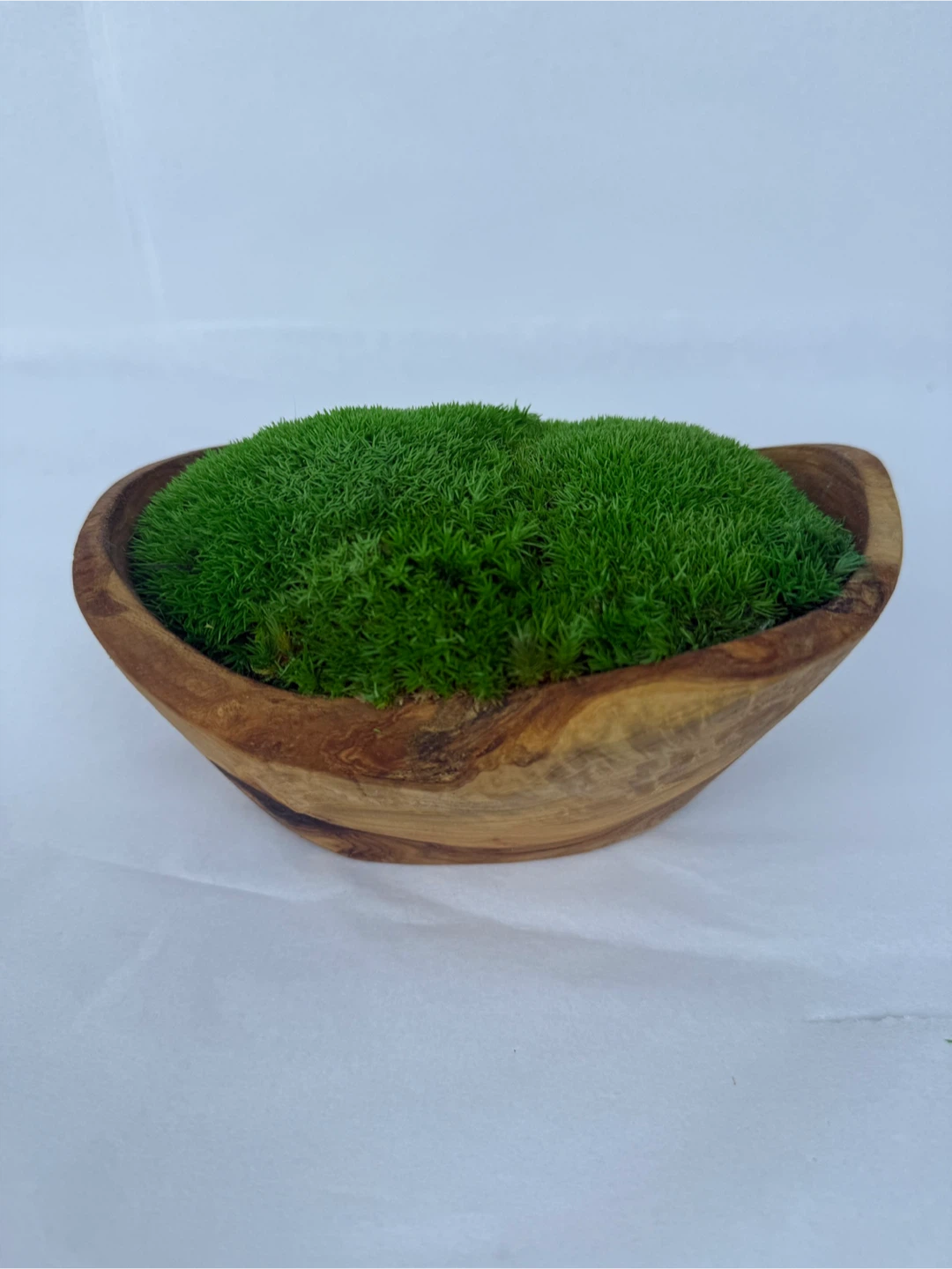 Moss in Wooden Centrepiece - photo 2