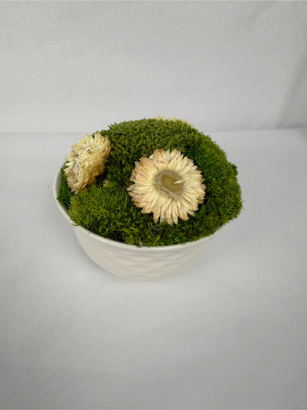 Moss arrangement in bowl, 5.5"