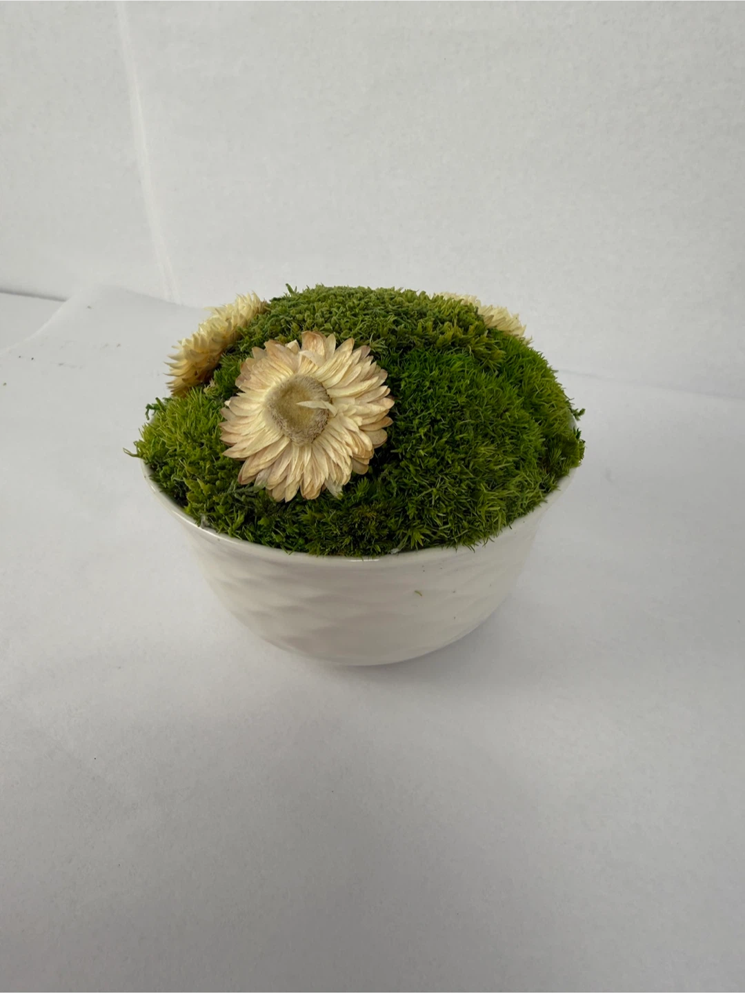 Moss arrangement in bowl, 5.5" - photo 3