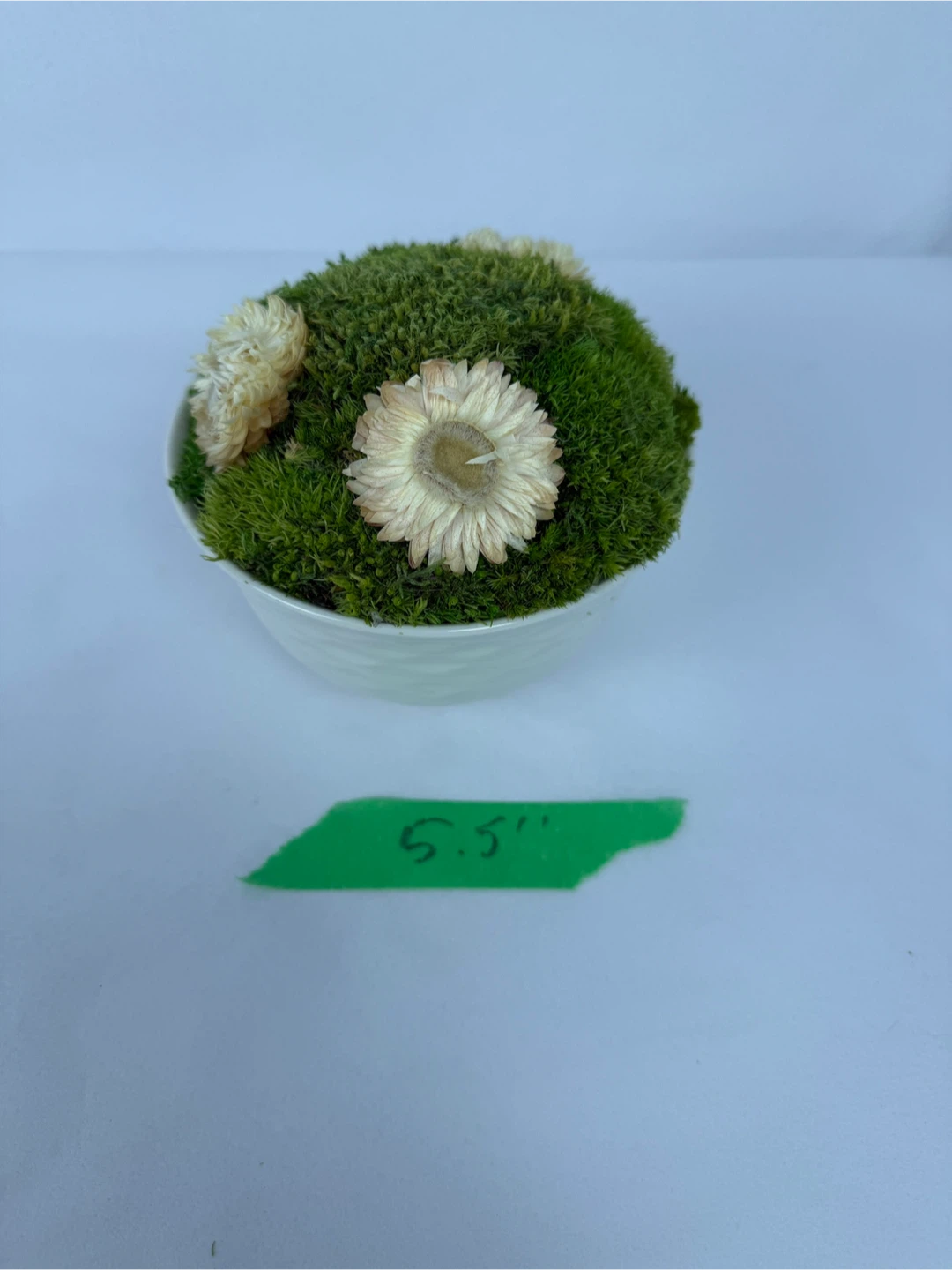 Moss arrangement in bowl, 5.5" - photo 4