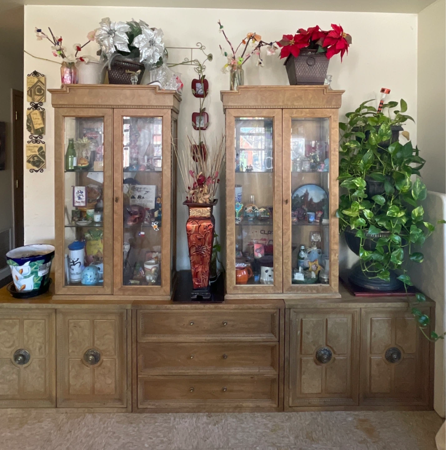 Display Cabinet with Storage