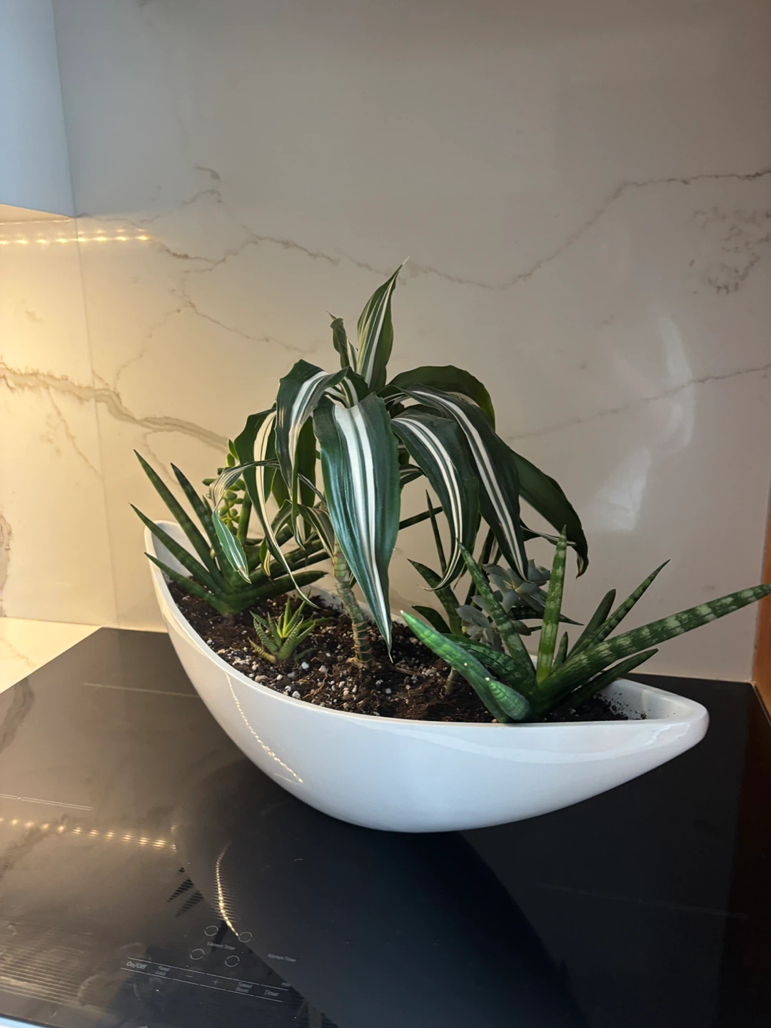 Large Low Oval Lacquered Fibrestone Pot - White