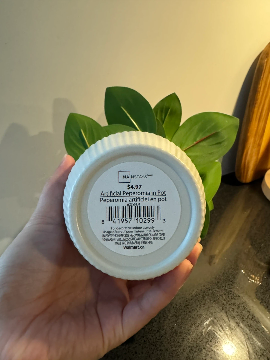 Mainstays Artificial Peperomia in Pot - photo 2