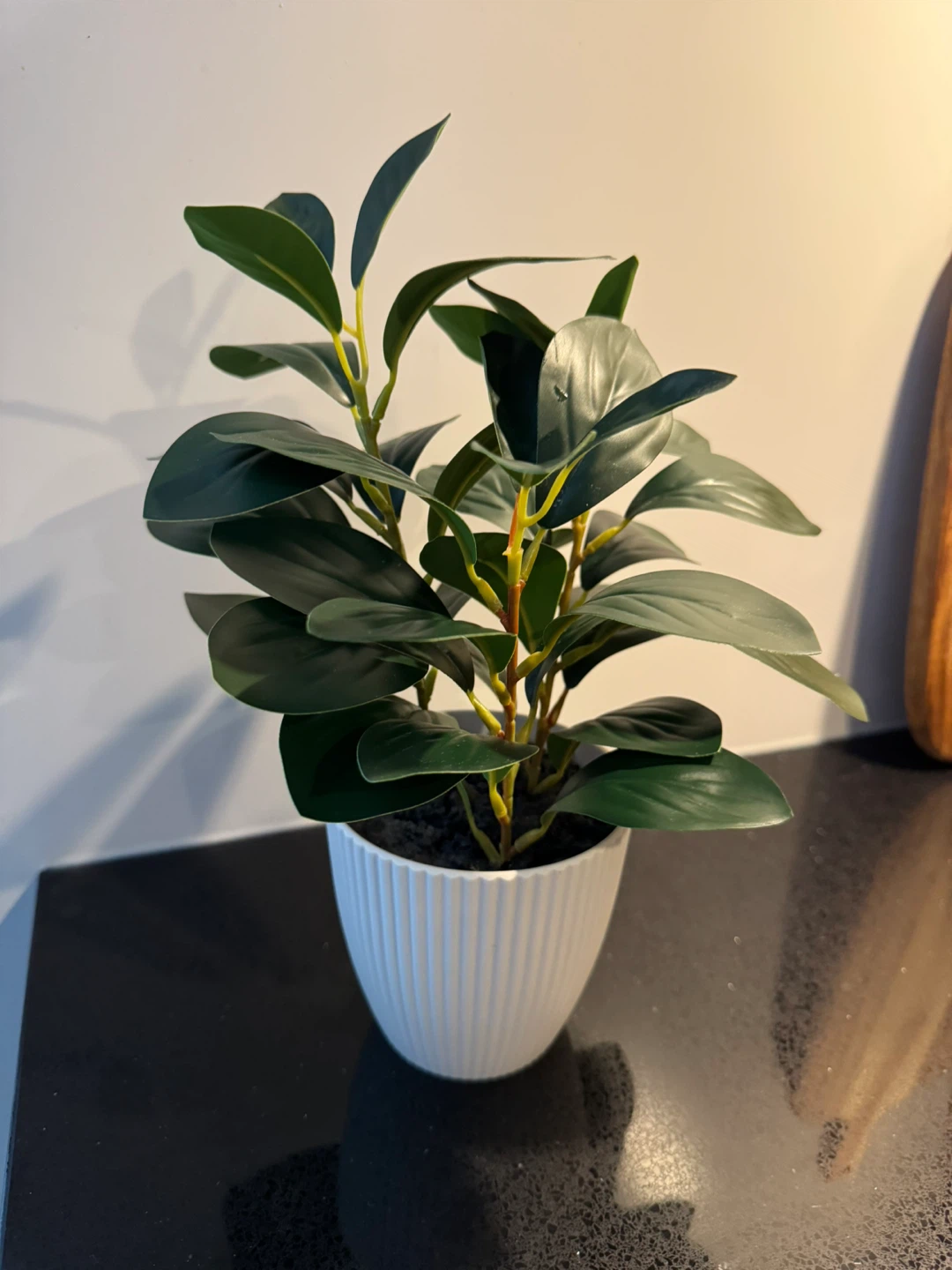 Mainstays Artificial Peperomia in Pot