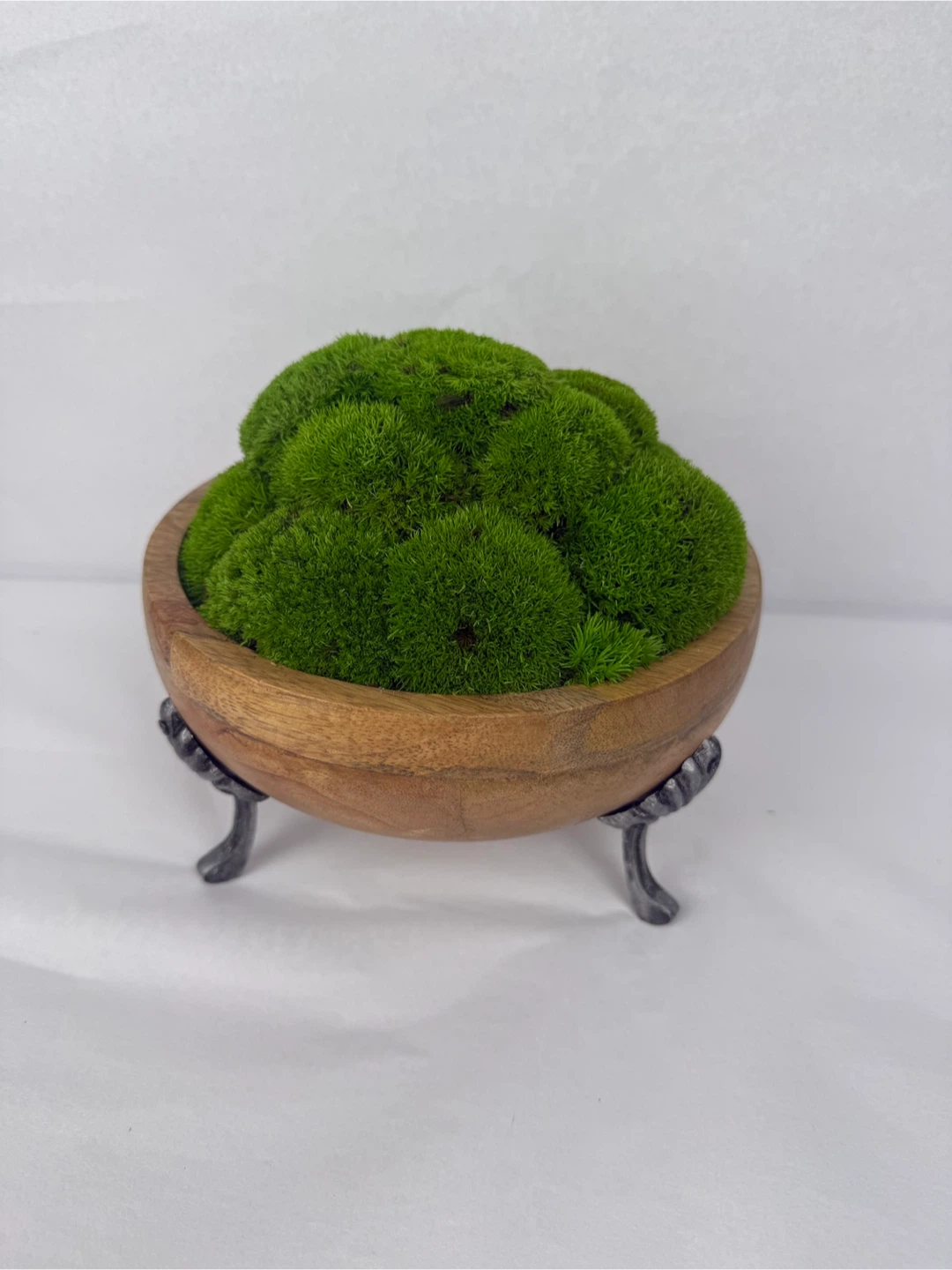 Moss centrepiece Wooden Bowl