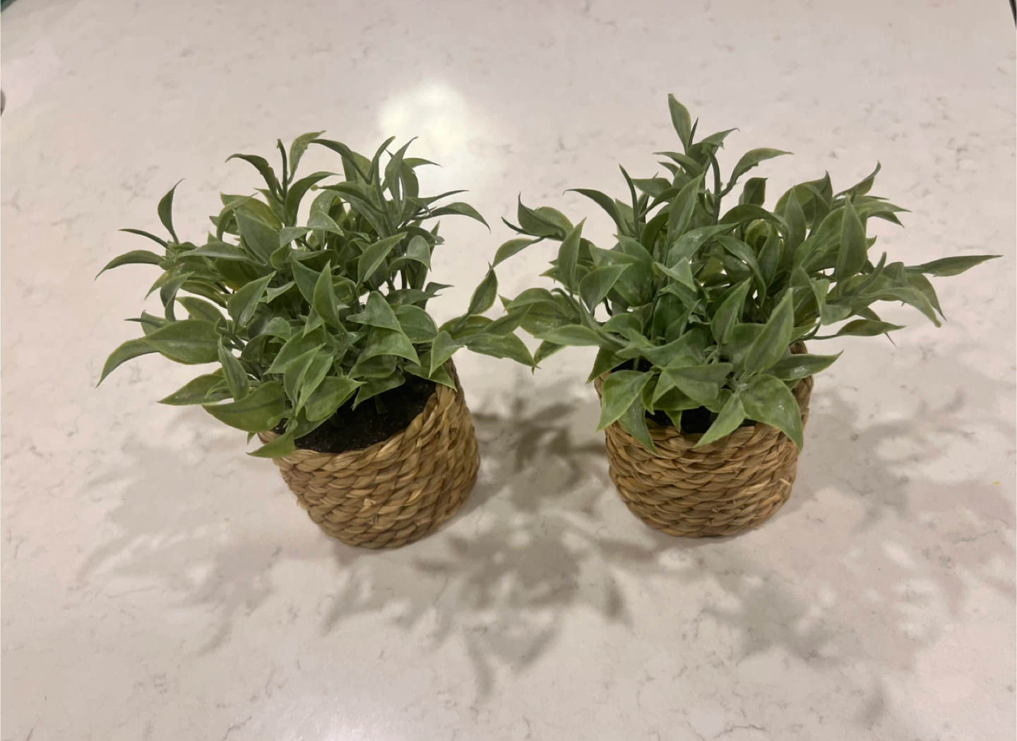 Artificial Potted Plants - Set of 2