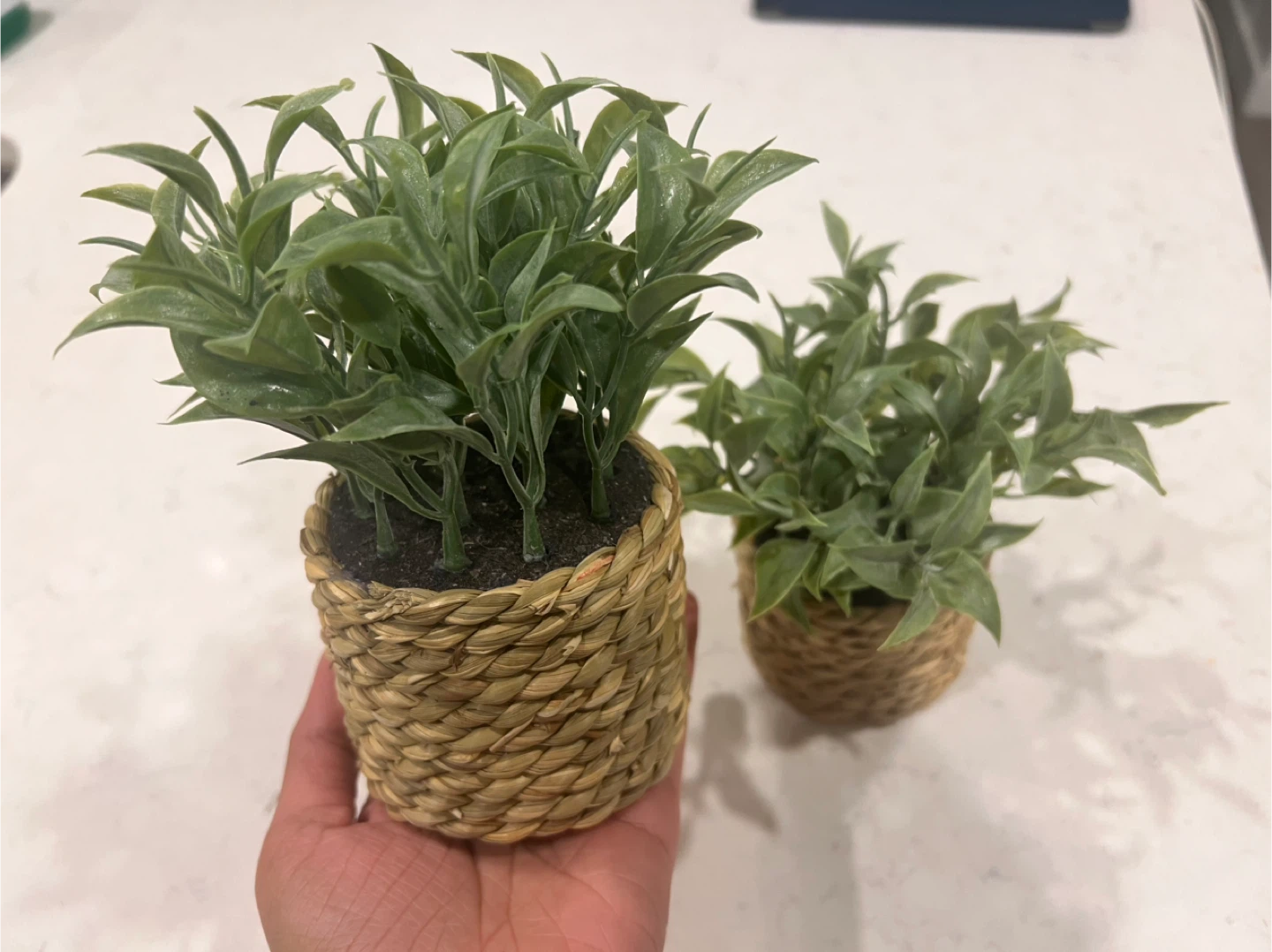 Artificial Potted Plants - Set of 2 - photo 3