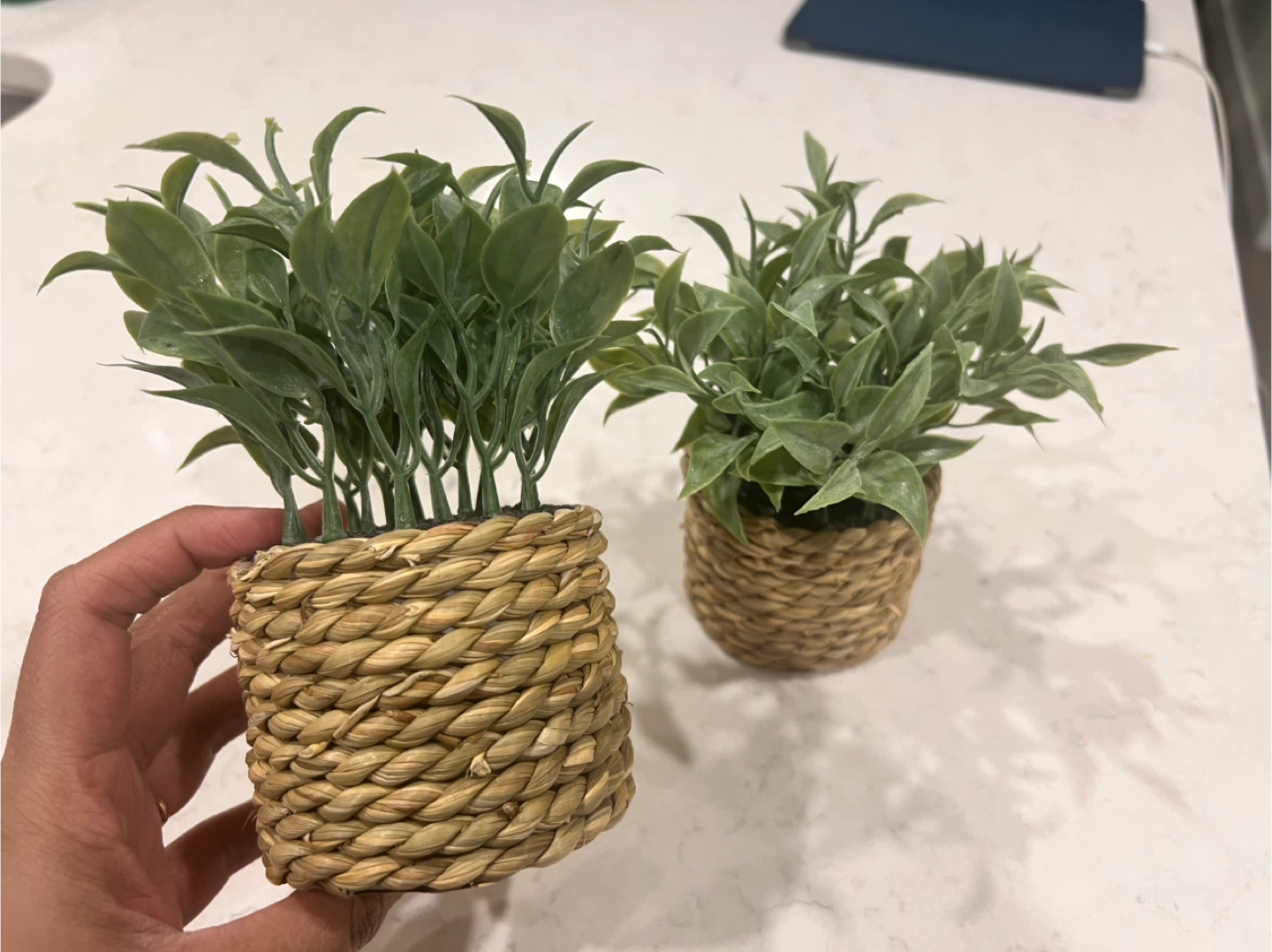 Artificial Potted Plants - Set of 2 - photo 2