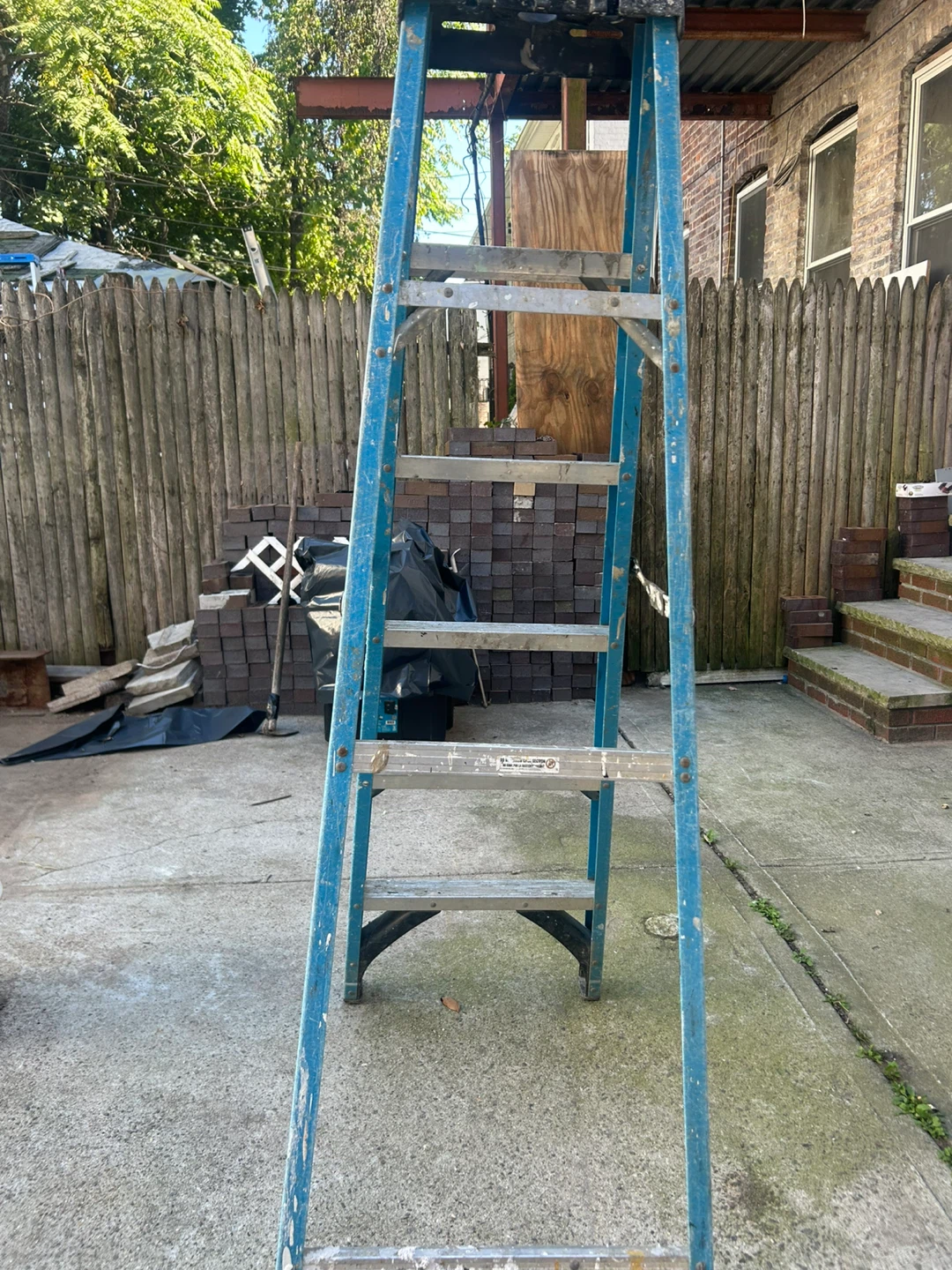 Werner Blue Ladder