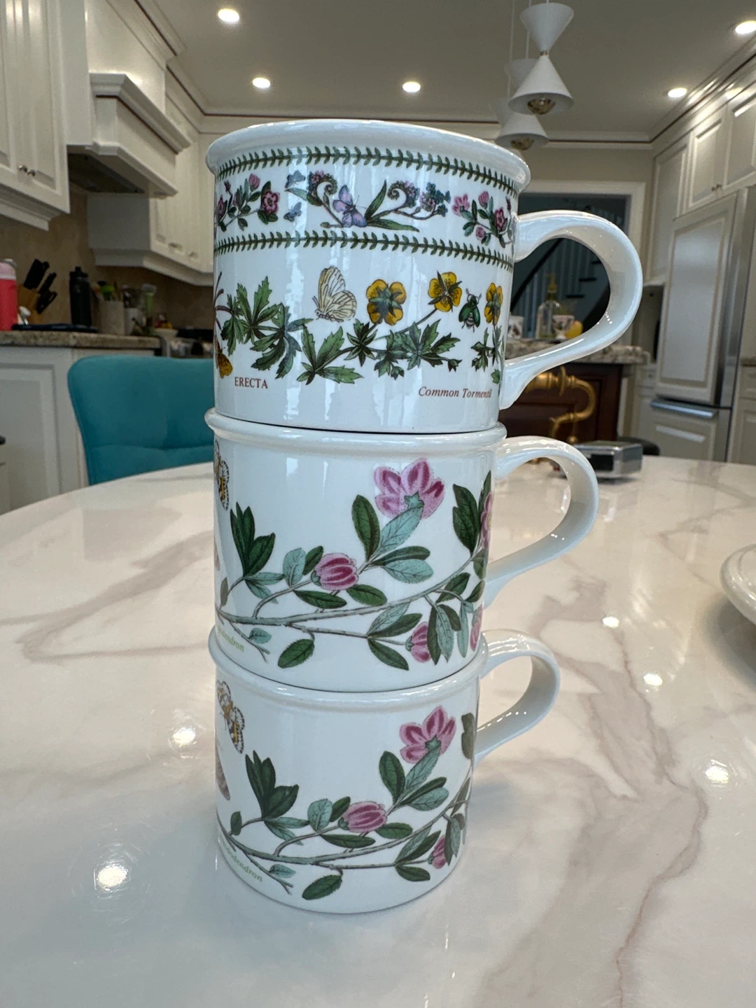 Portmeirion Botanic Garden Mugs (Set of 3)