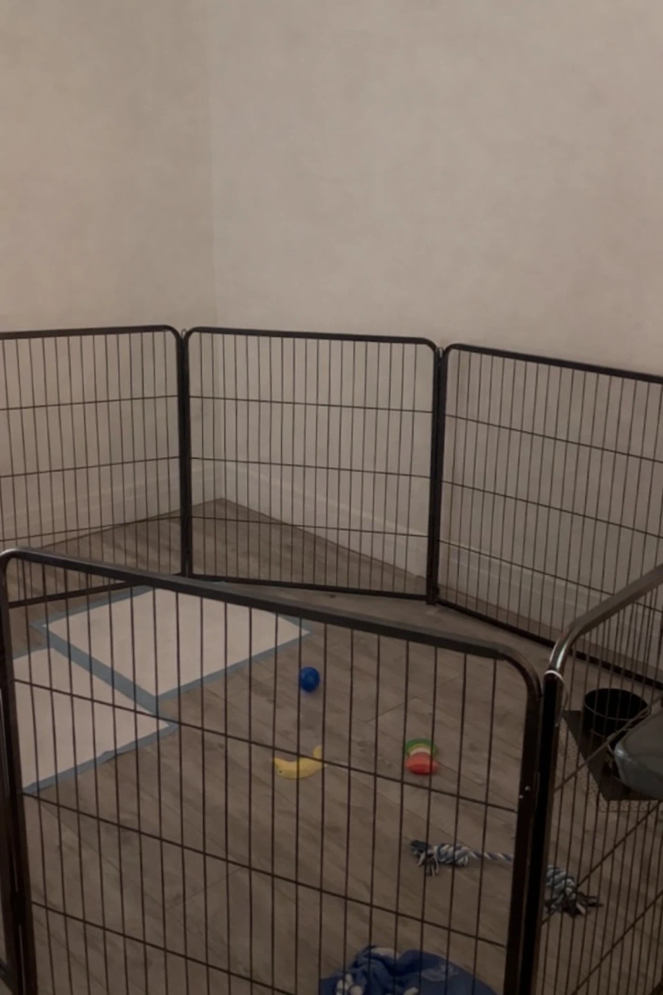 Dog Playpen - Indoor/Outdoor 8 Panel - photo 3