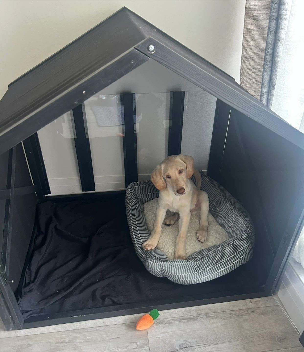 Modern Black Dog House with Clear Doors - photo 3