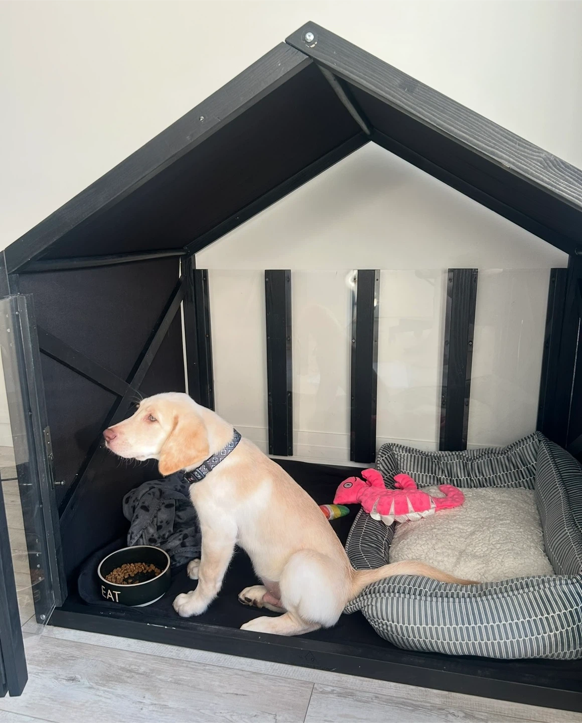 Modern Black Dog House with Clear Doors - photo 2