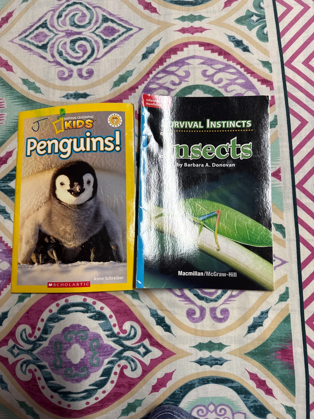 Kids Books: Penguins! and Insects 🥕