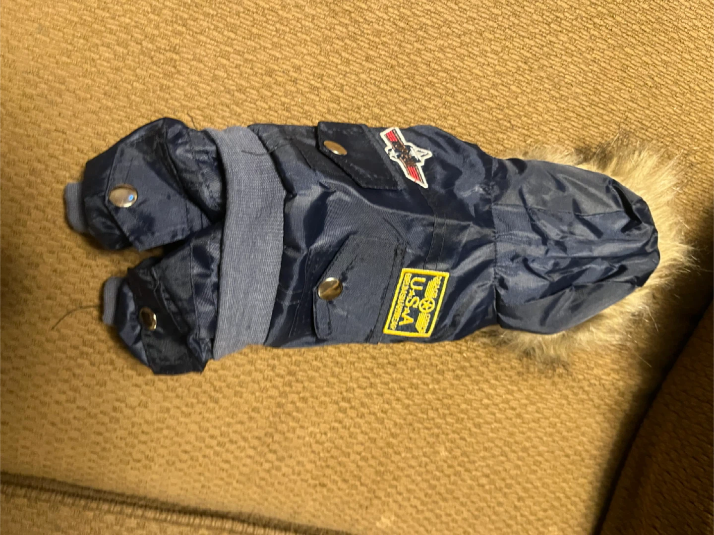 Dog Winter Coat - photo 2