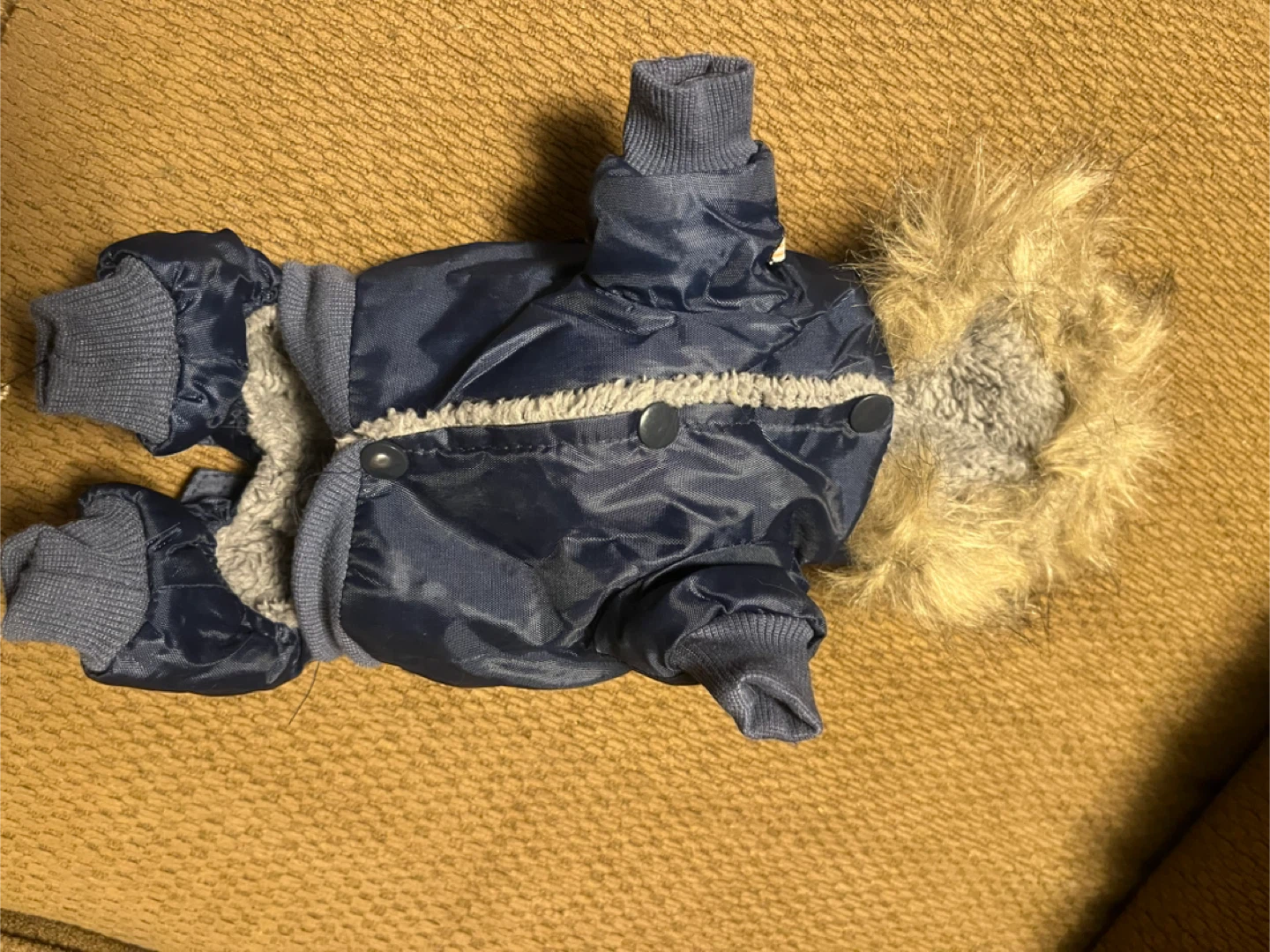 Dog Winter Coat