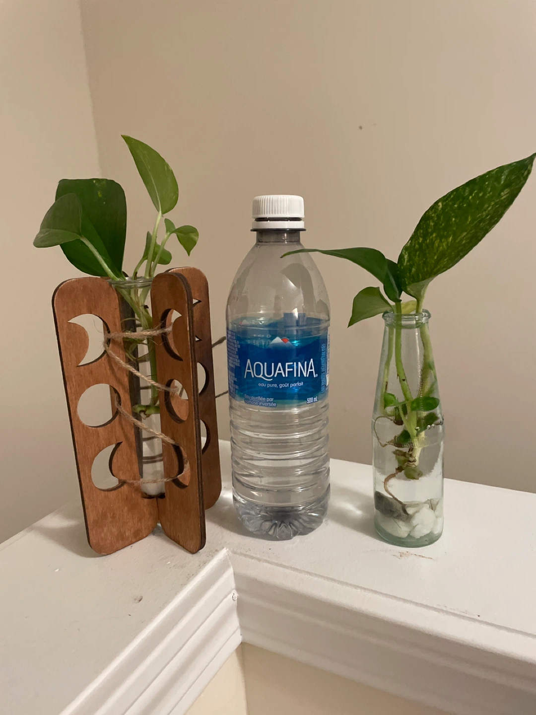Plant Propagation Station with Glass Tubes - photo 2