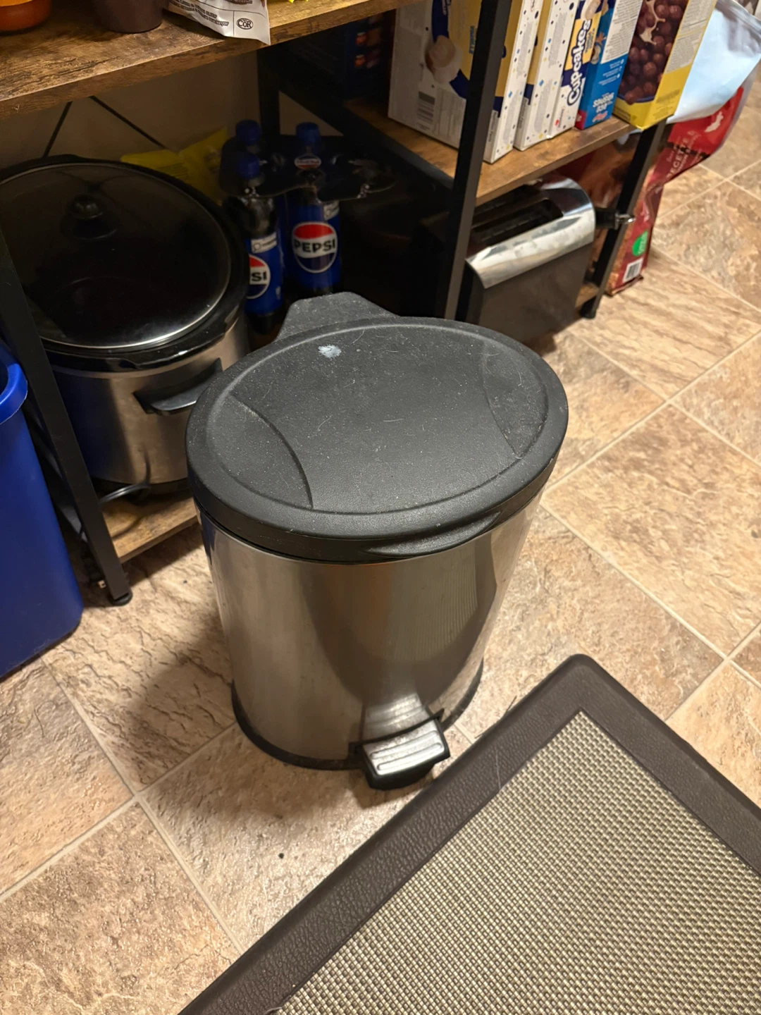 Stainless Steel Step-On Trash Can