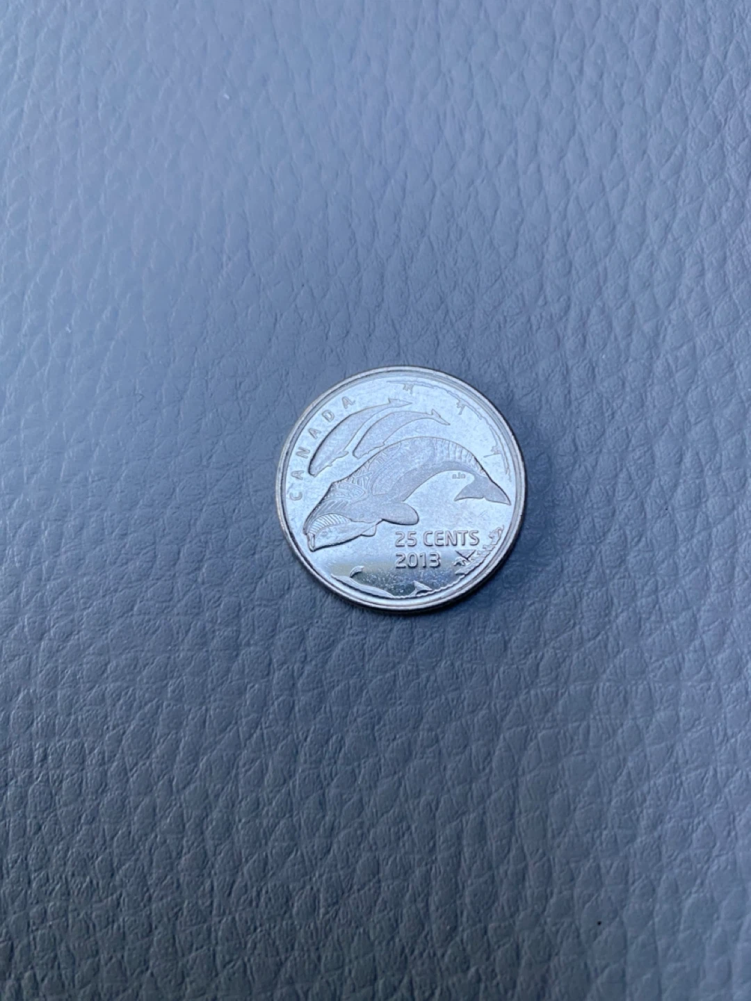 24 coins - Life in the North quarters