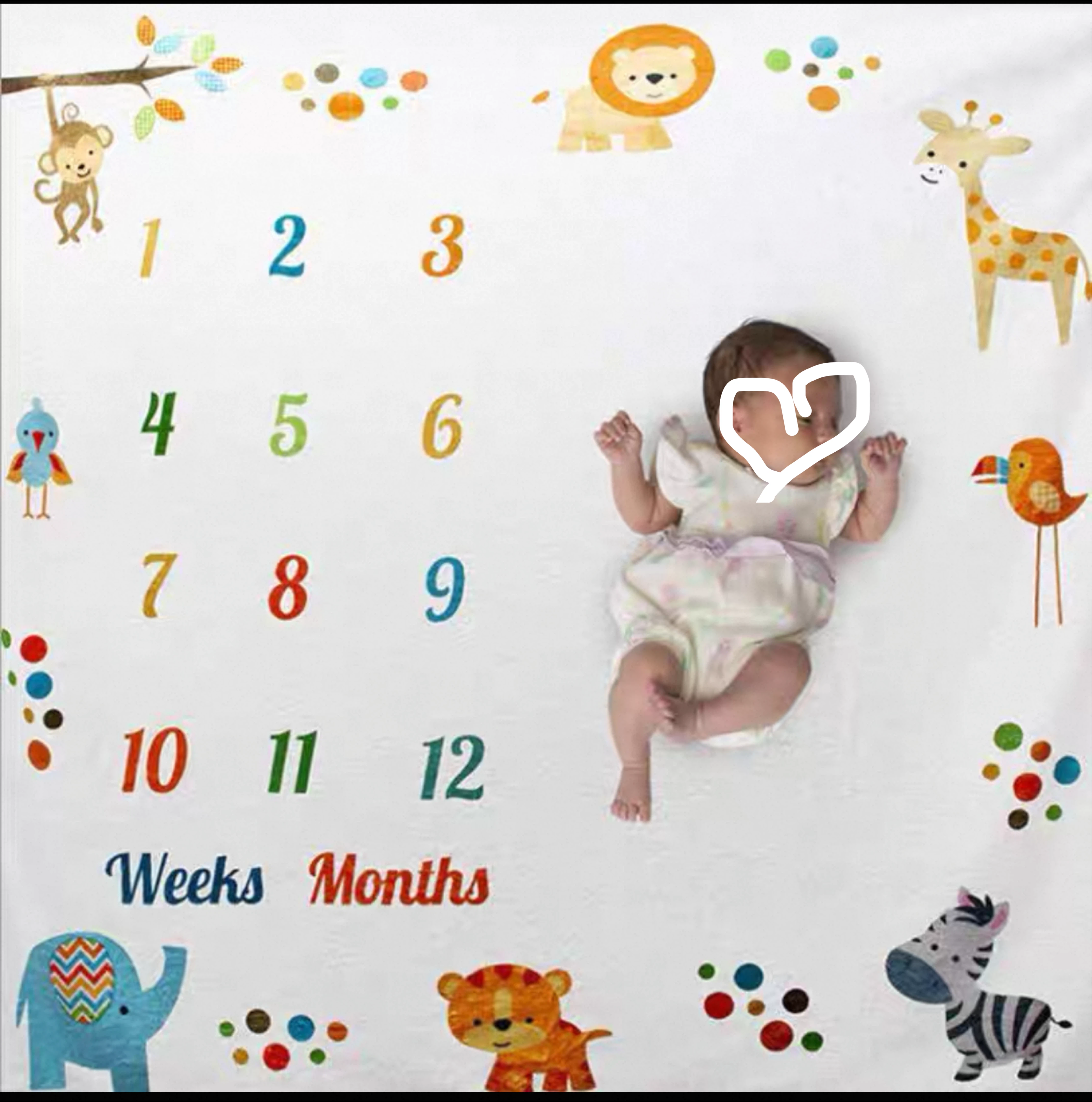 Baby Milestone background Blanket