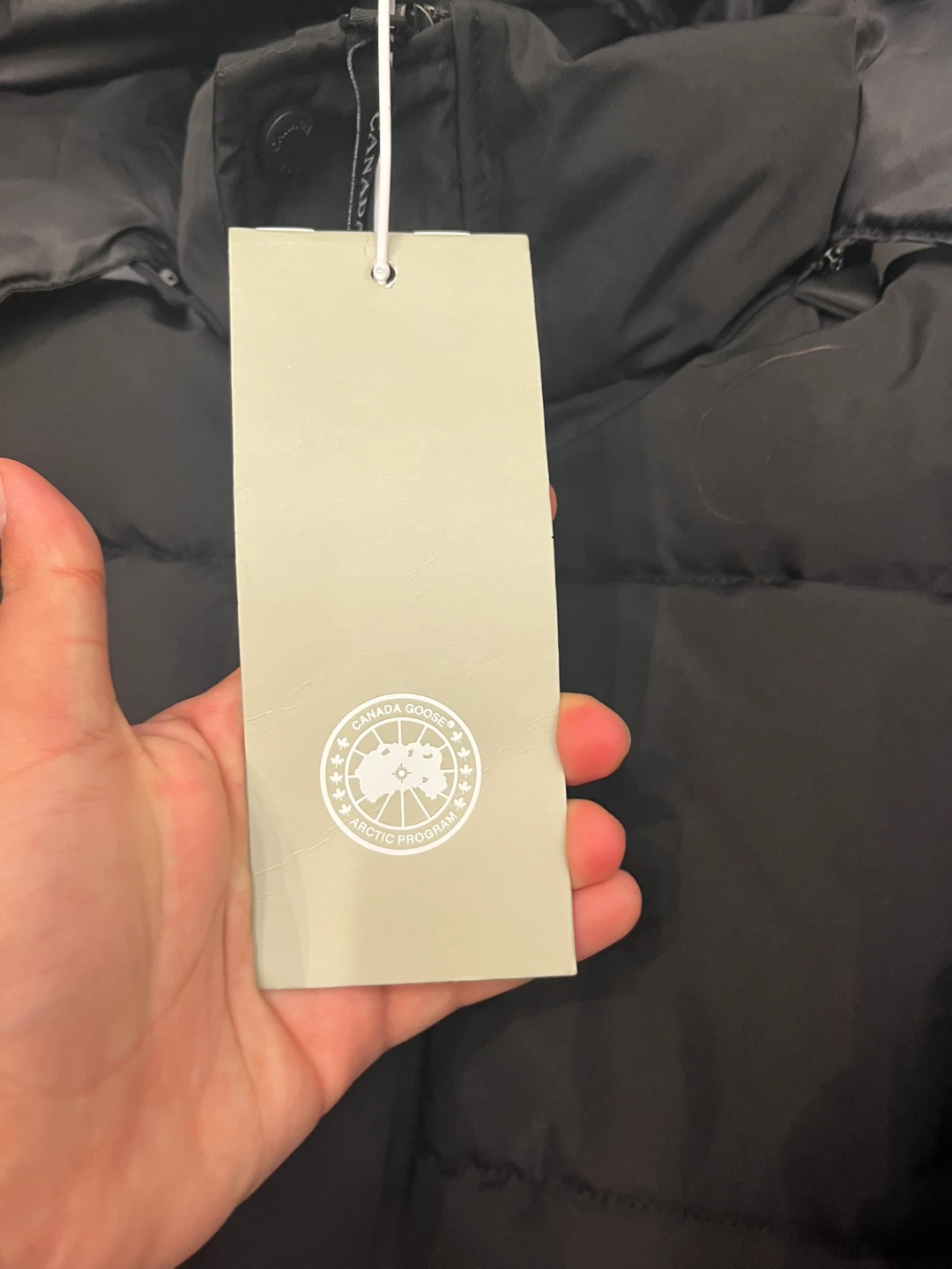 Canada Goose Black Puffer Jacket - Size L - photo 3