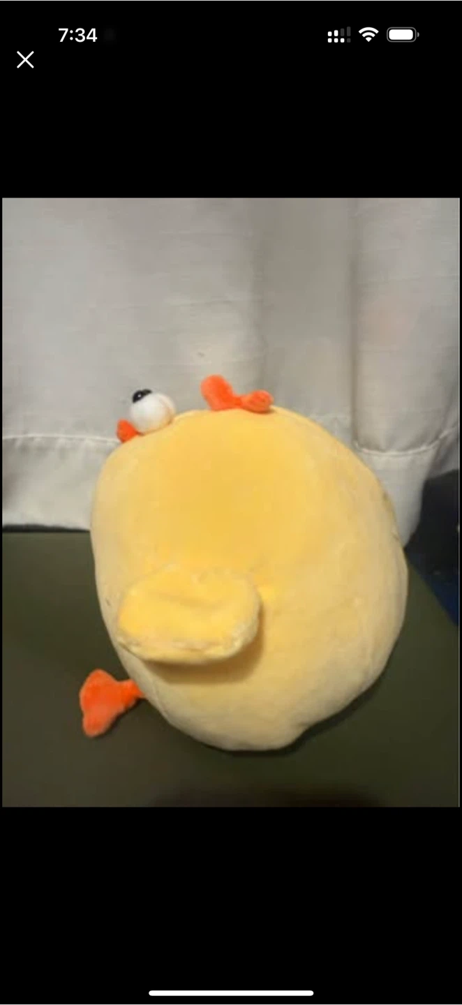 Big Bok Chicken Stuffy - photo 2