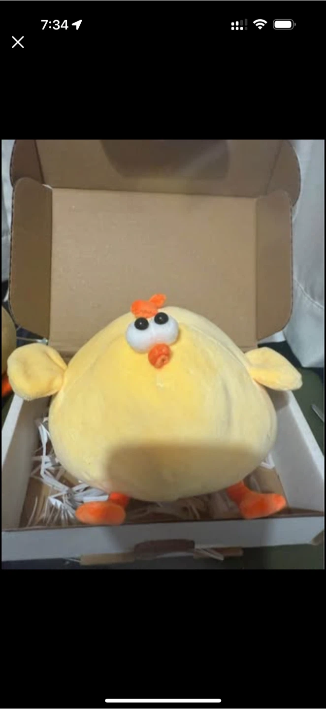 Big Bok Chicken Stuffy