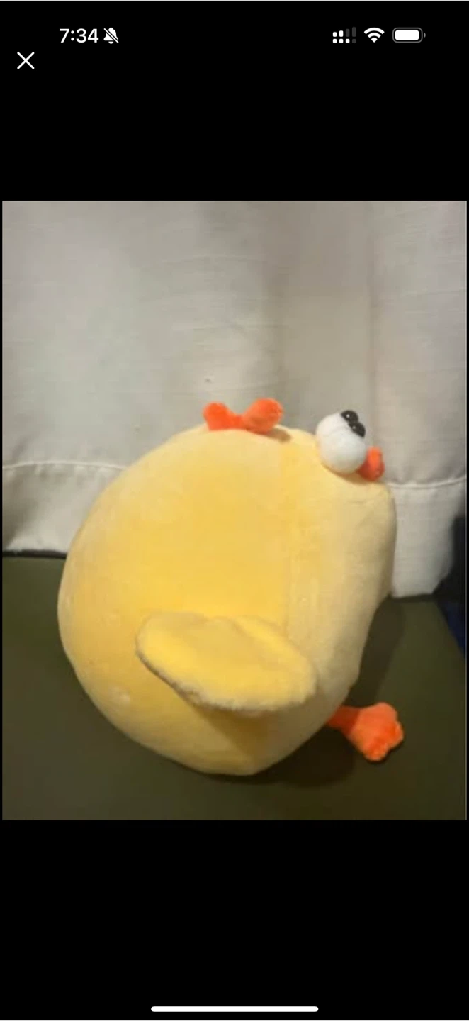 Big Bok Chicken Stuffy - photo 3
