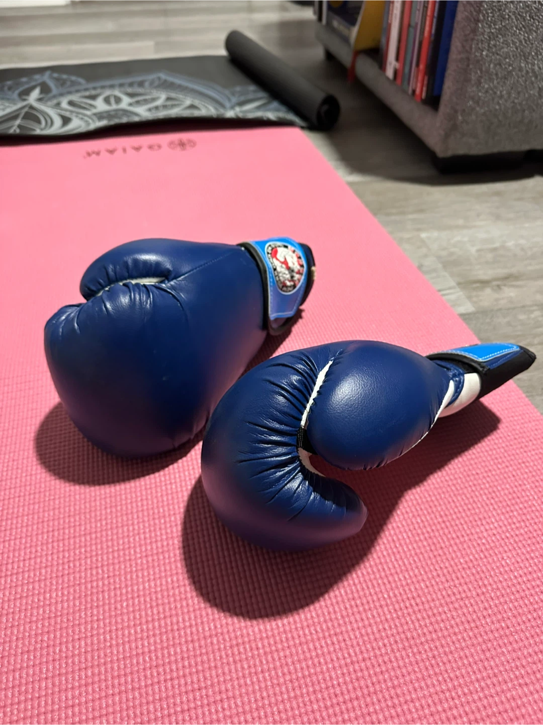 Blue Boxing Gloves