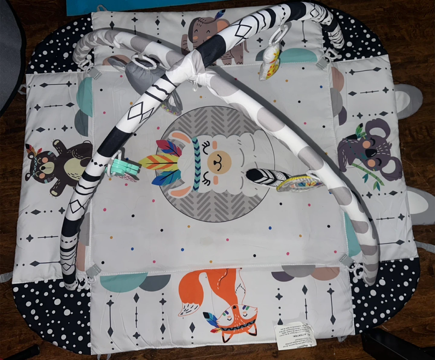 Baby Activity Gym Play Mat🥕