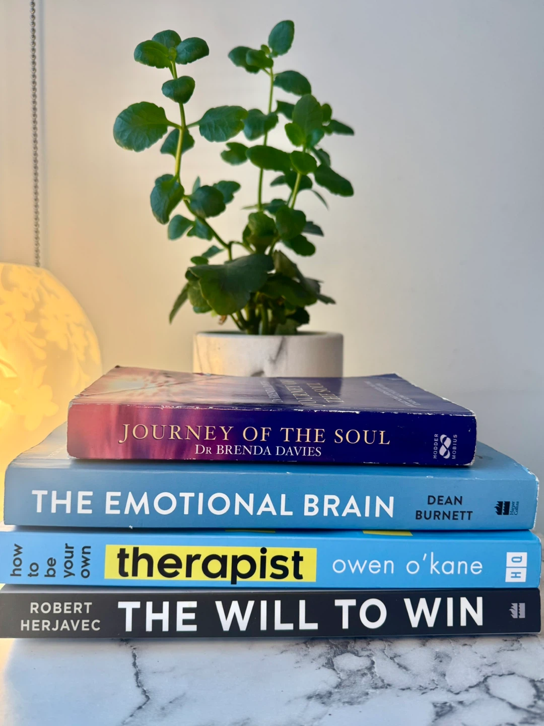 Self-Help Book Bundle - photo 2