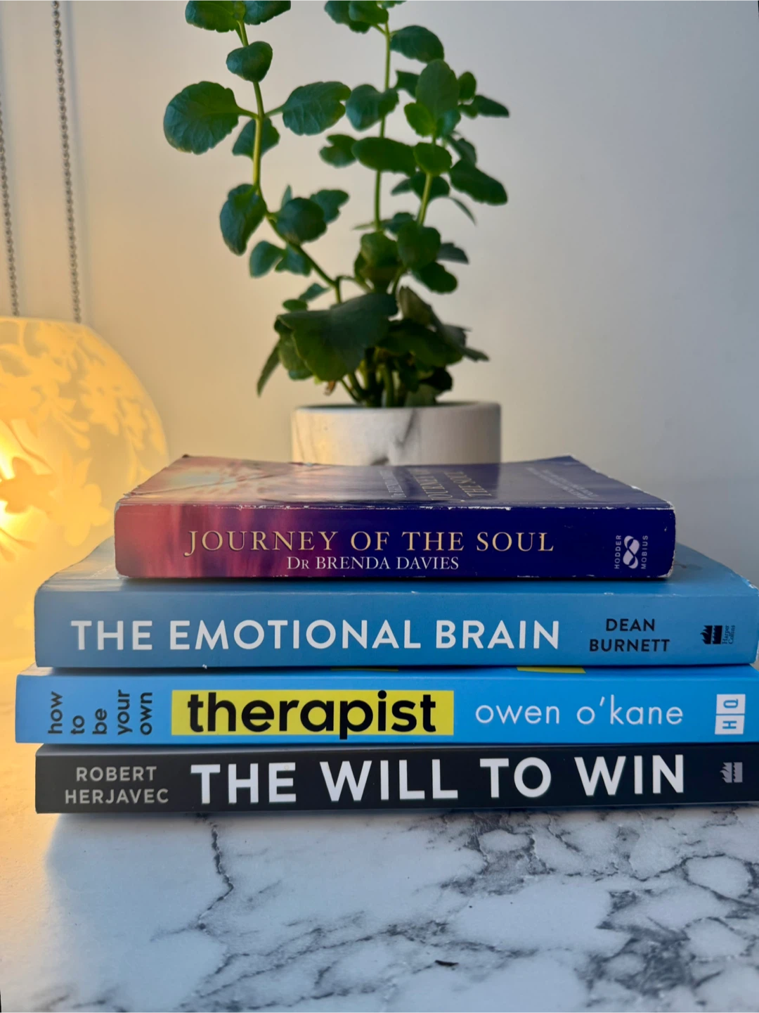 Self-Help Book Bundle