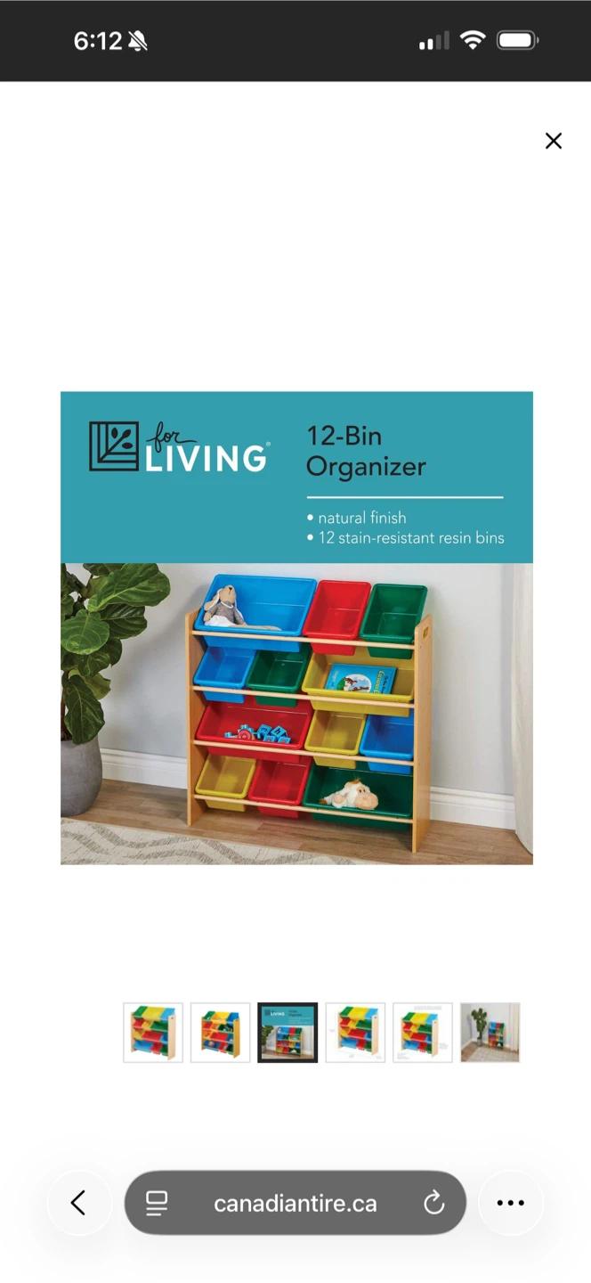 For Living 12-Bin Organizer (kids)
