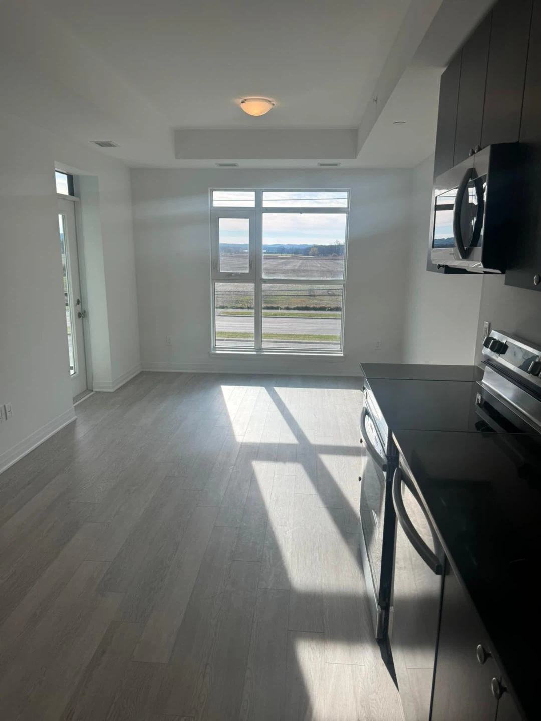 New Luxury Condo for Rent in the Heart of Milton - photo 4
