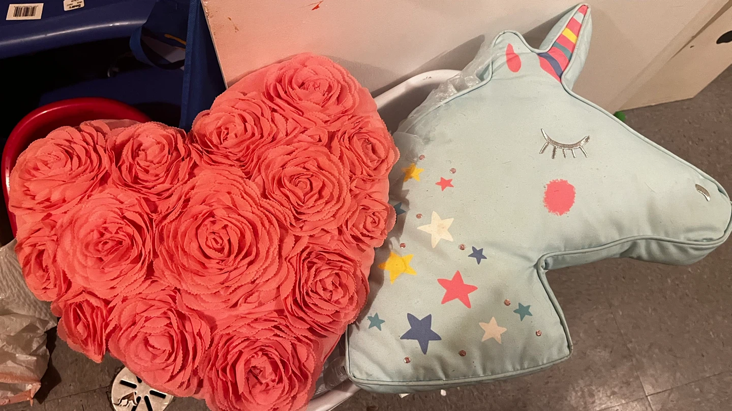 Heart & Unicorn Decorative Pillows 🥕