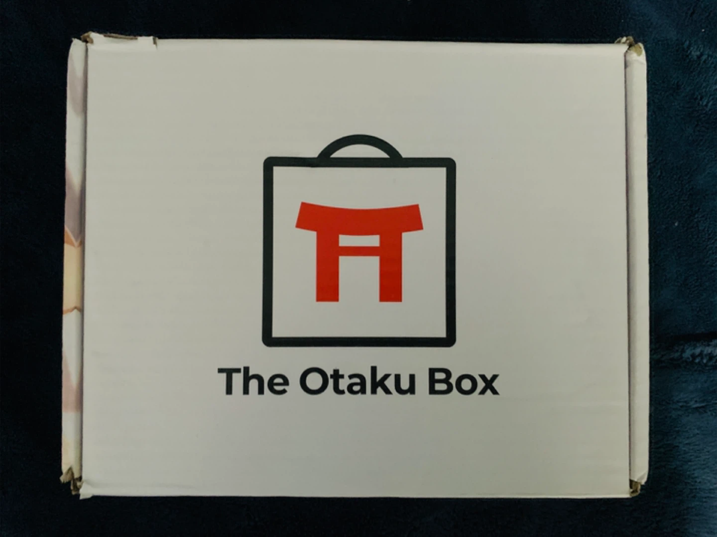 Otaku Box Ogre Maid 1:9 Scale Shion Figure - photo 5