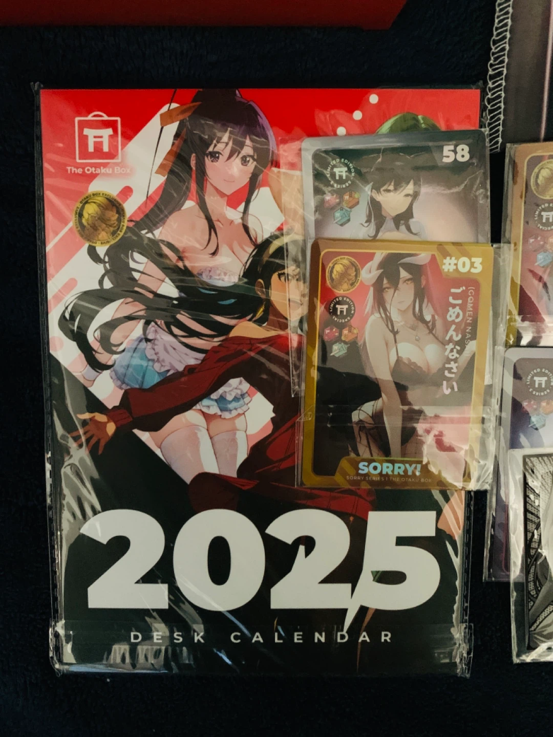 The Otaku Box Sealed Sexy Overseer Figure 1:9 Scale - photo 5