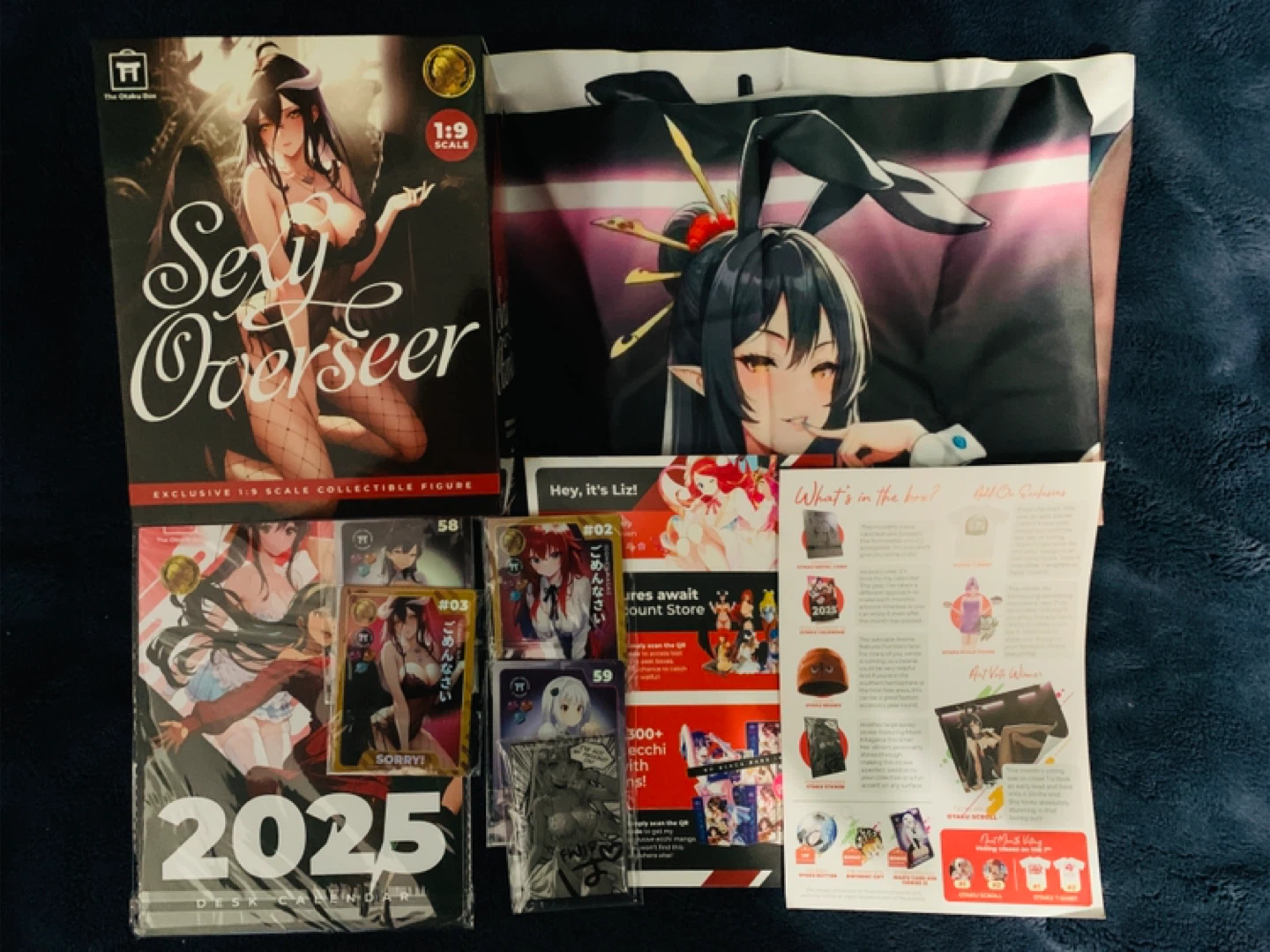 The Otaku Box Sealed Sexy Overseer Figure 1:9 Scale