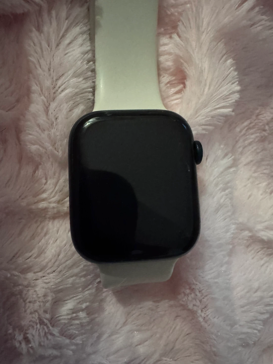 Apple Watch - photo 4