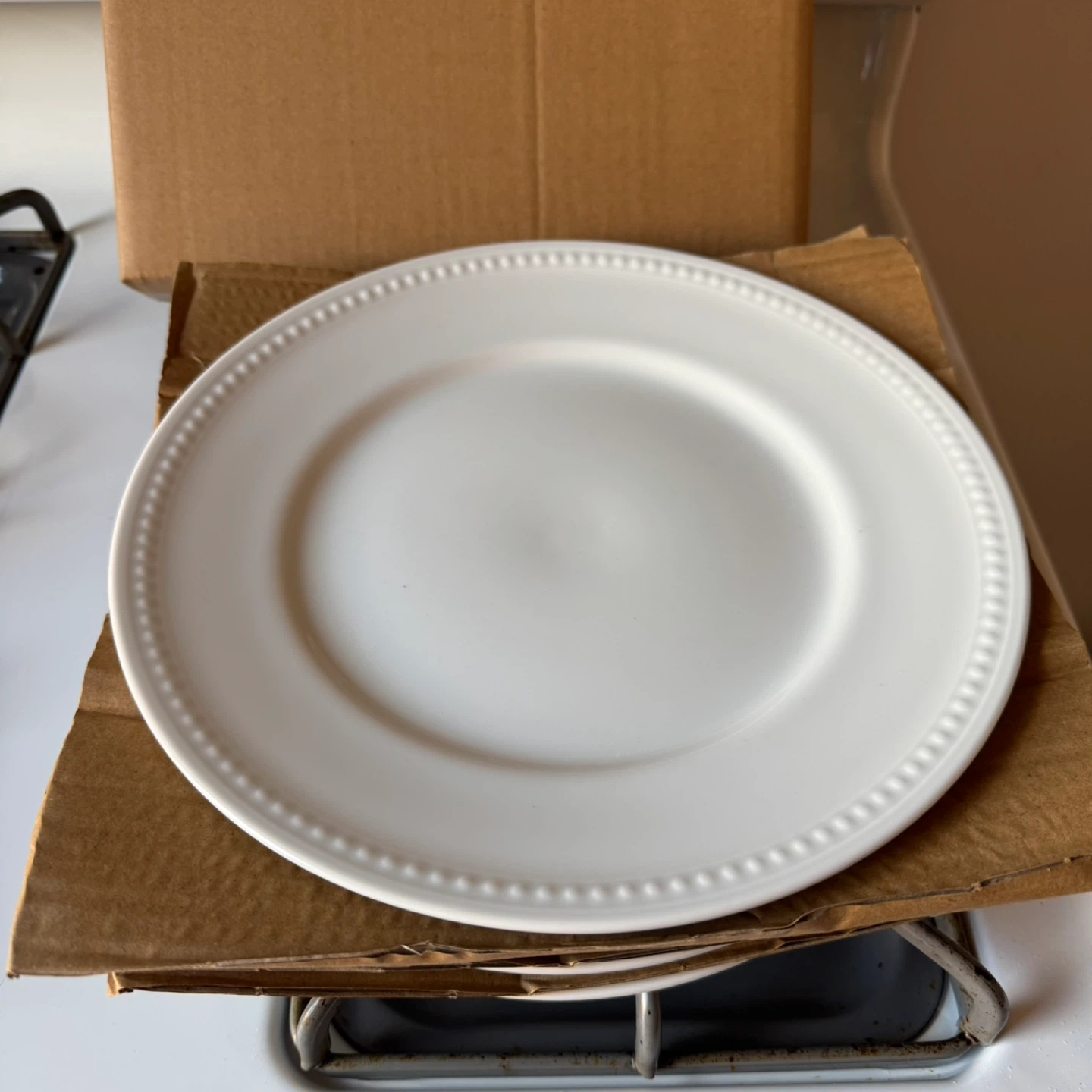 White Dinner Plates, 10.5in - photo 3