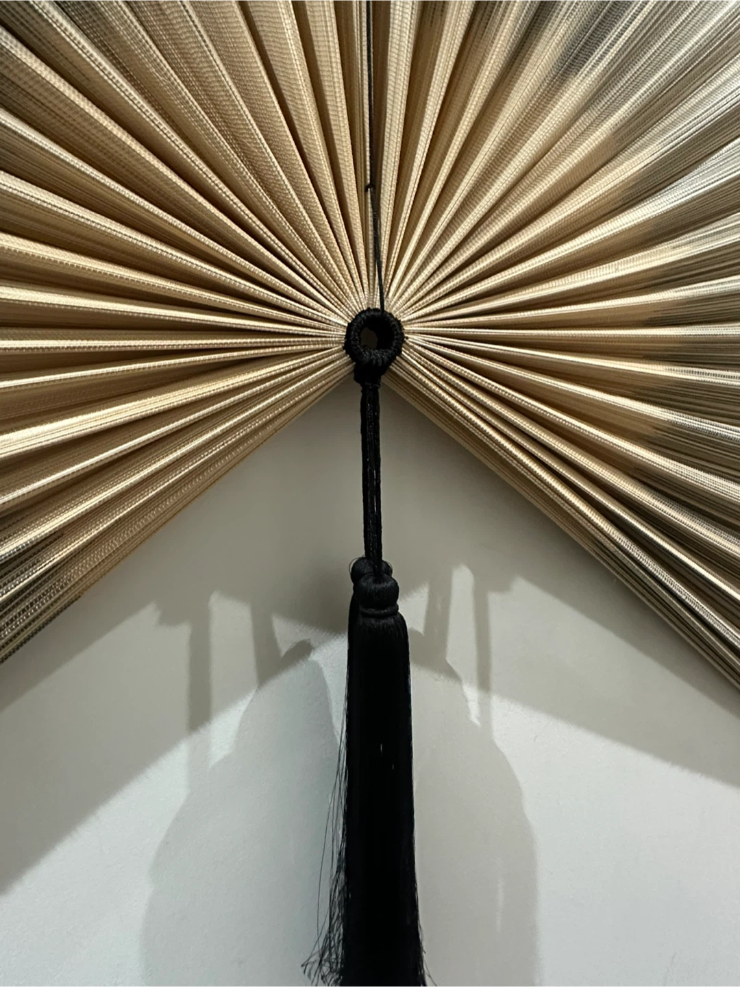 Decorative Wall Fan with Tassel - photo 5