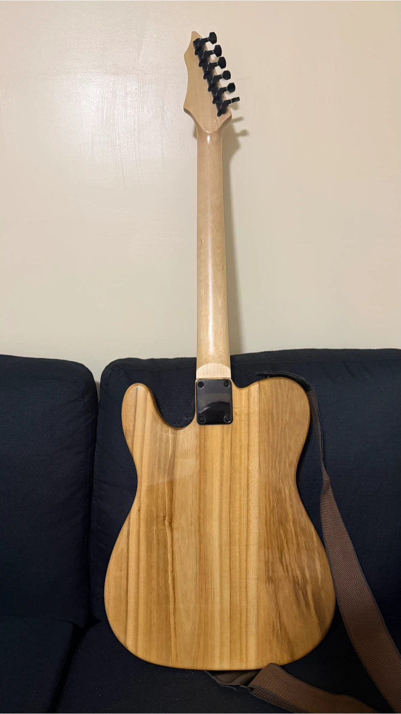 Telecaster Style eclectic guitar urgently on sale - photo 3